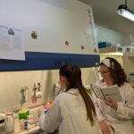 Successful research stay within the STRIMHealth Project at iMed ULisboa